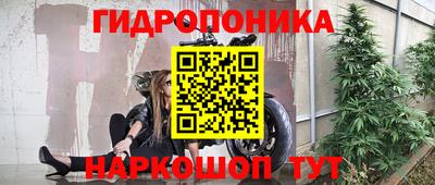 спиды Будённовск