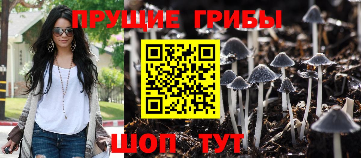 где можно купить   Галлюциногенные грибы GOLDEN TEACHER  Сатка  Вход с VPN  Галлюциногенные грибы GOLDEN TEACHER 